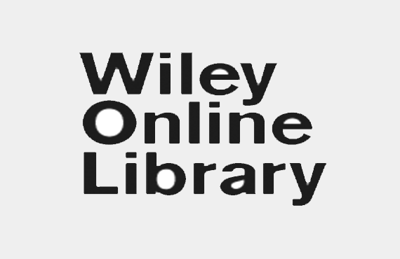 Wiley e-Book